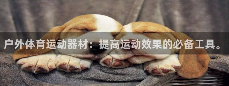 注册NG大舞台官方正版app：户外体育运动器材：提高