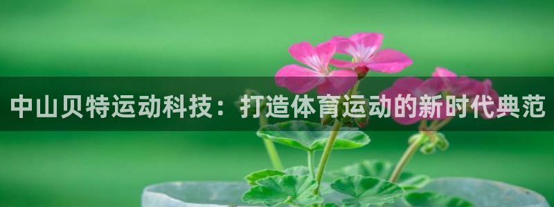 NG大舞台官网下载平台APP