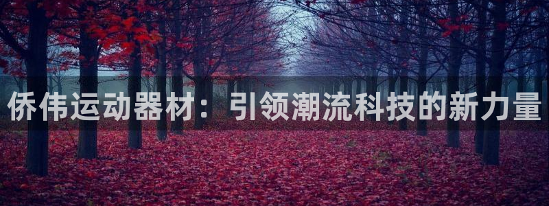 NG大舞台官方正版app五金厂：侨伟运动器材：引领潮流科技的