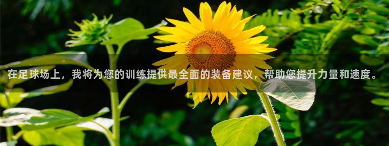 NG大舞台官方正版app娱乐