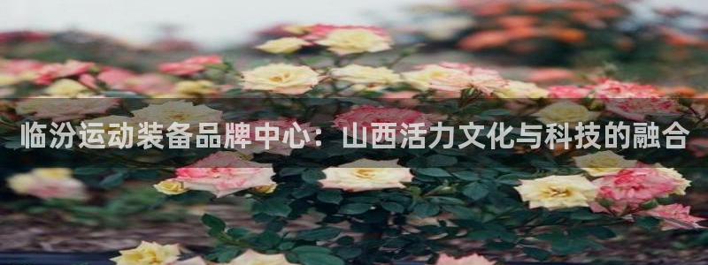 NG大舞台官方正版app官方：临汾运动装备品牌中心：山西活力