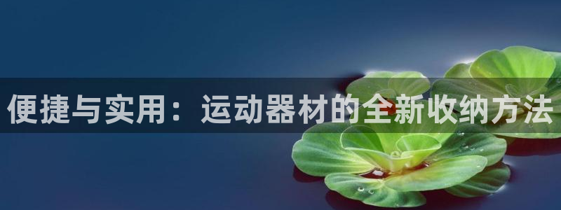 NG大舞台官方正版app五金厂：便捷与实用：运动器材的全新收