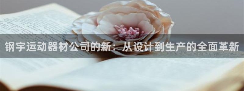 NG大舞台官网下载平台注册流程图：钢宇运动器材公司的