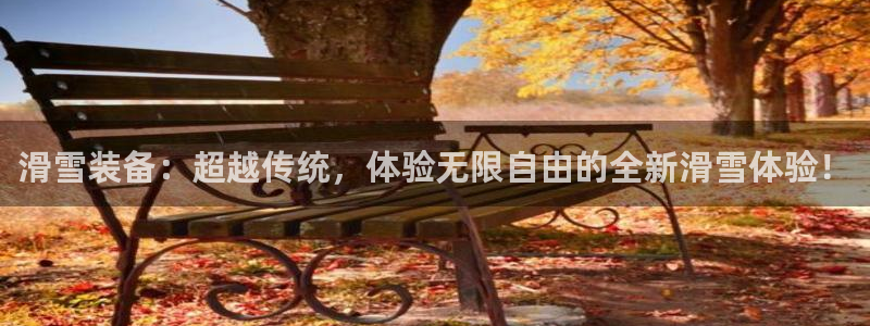 NG大舞台官方正版app集团官网首页网址：滑雪装备：