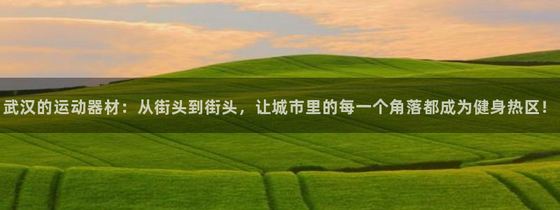 NG大舞台官网下载招商电话号码是多少号：武汉的运动器材：从街