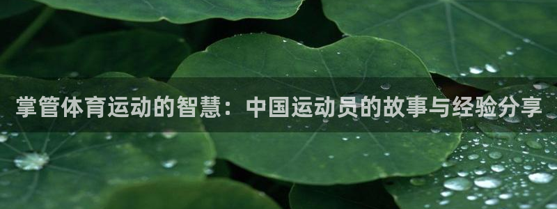zyty中欧体育平台