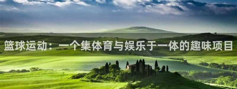 中欧体育在线