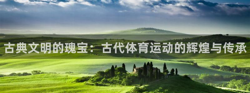 中欧体育kok
