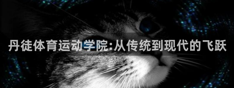 中欧体育网址
