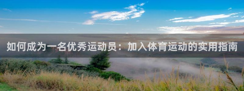 中欧体育网页版