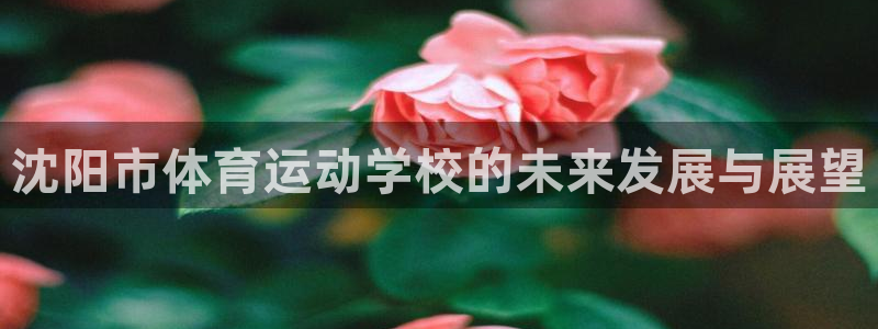 中欧体育网站