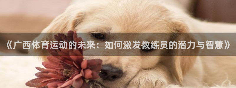 中欧体育kok官网首页