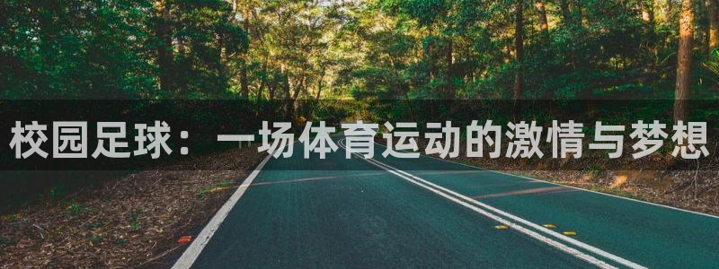 中欧体育