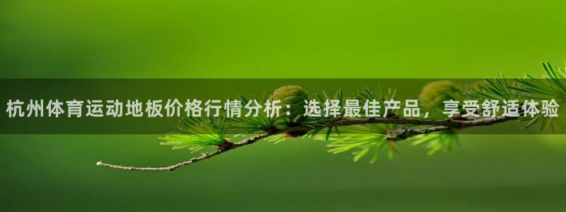 中欧体育(zoty)官网：杭州体育运动地板价格行情分析：选择最佳产品，享受舒适体验