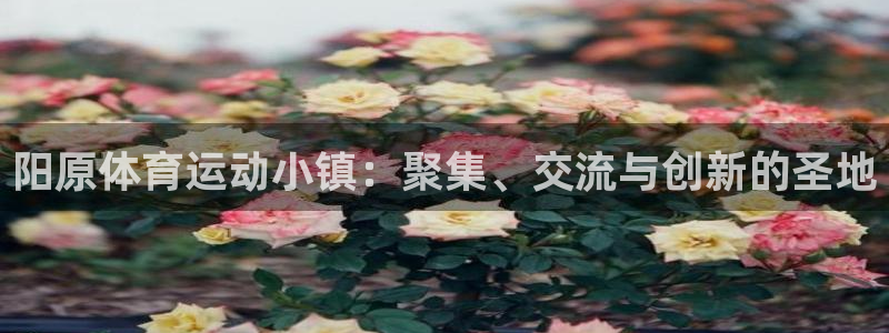 中欧体育kok官网首页：阳原体育运动小镇：聚集、交流与创新的圣地