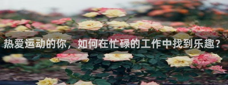 中欧体育官网入口