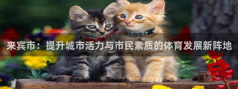 zyty中欧体育平台：来宾市：提升城市活力与市民素质的体育发展新阵地