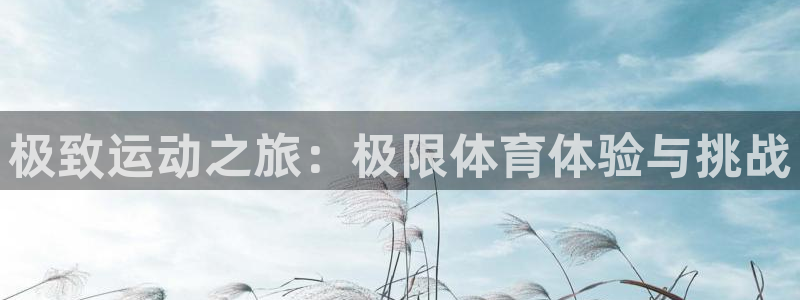 zoty中欧体育网址多少：极致运动之旅：极限体育体验与挑战